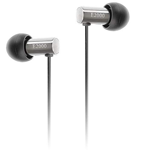 Final E2000 Canal Earphones Matte Silver FI-E2DALS New Authentic From Japan