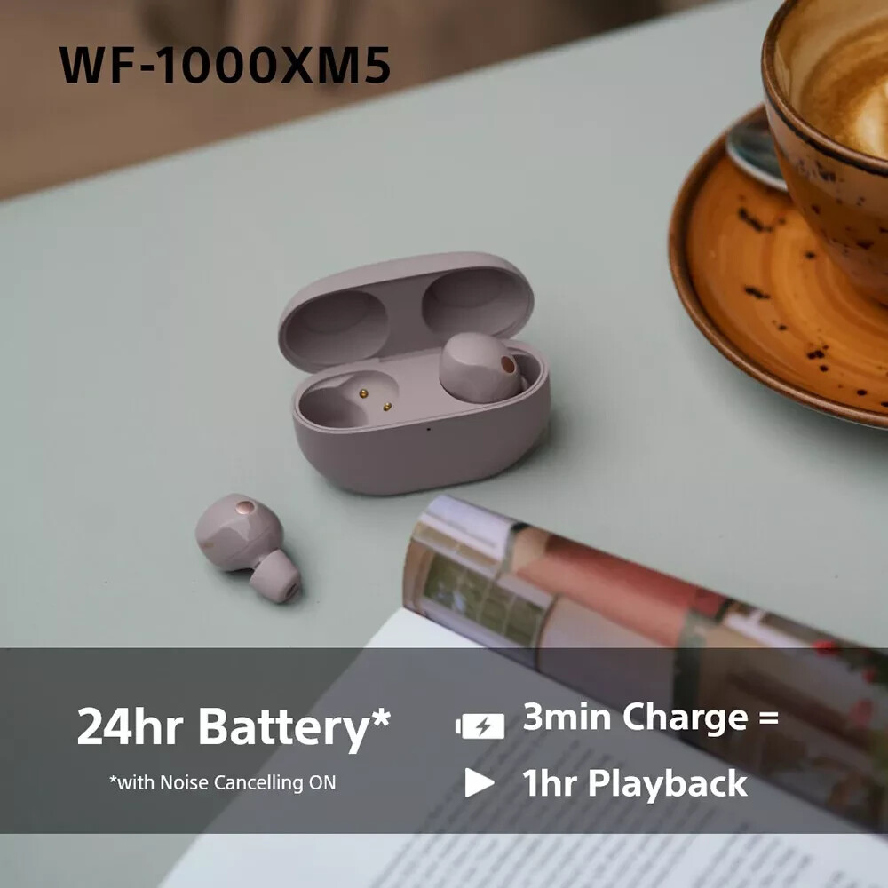 Sony WF-1000XM5 Truly Wireless Noise Cancelling Earbuds Headphones – Smoky Pink