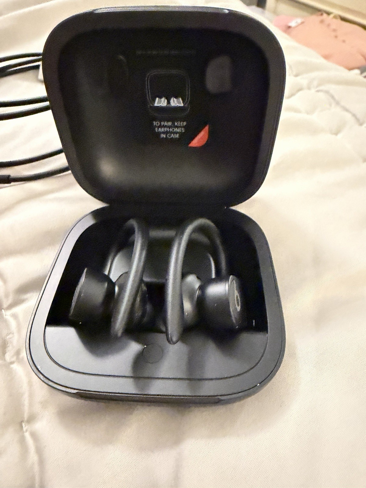 Beats by Dr. Dre Powerbeats Pro In Ear Wireless Headphones – Black (plus case)