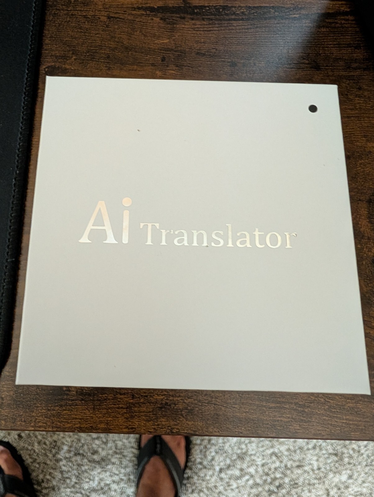 AI Language Translation Earbuds Real Time, Language Translator Earbuds
