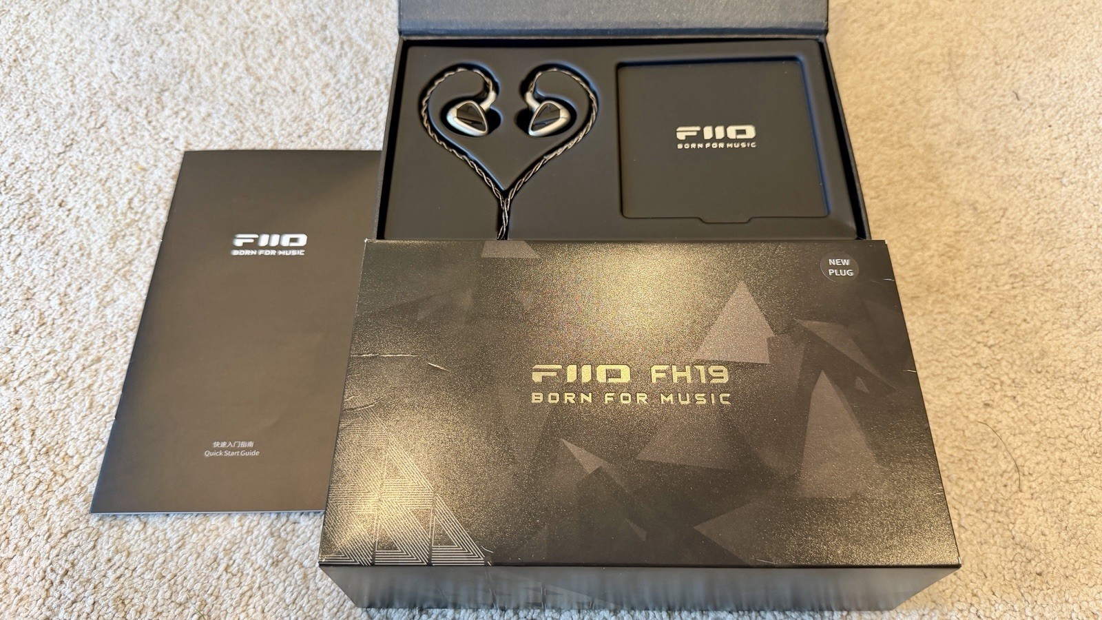 FiiO FH19 HiFi IEM Earphone, 2 Dynamic+ 6 BA Hybrid Driver IEM, Detachable MMCX