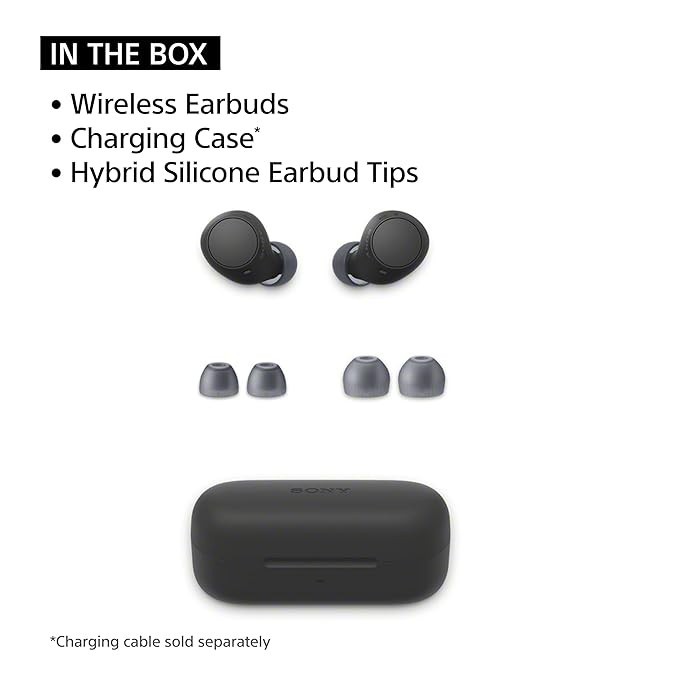 Sony WF-C510 Wireless Bluetooth Earbuds with Mic, TWS, Multipoint Connectivity