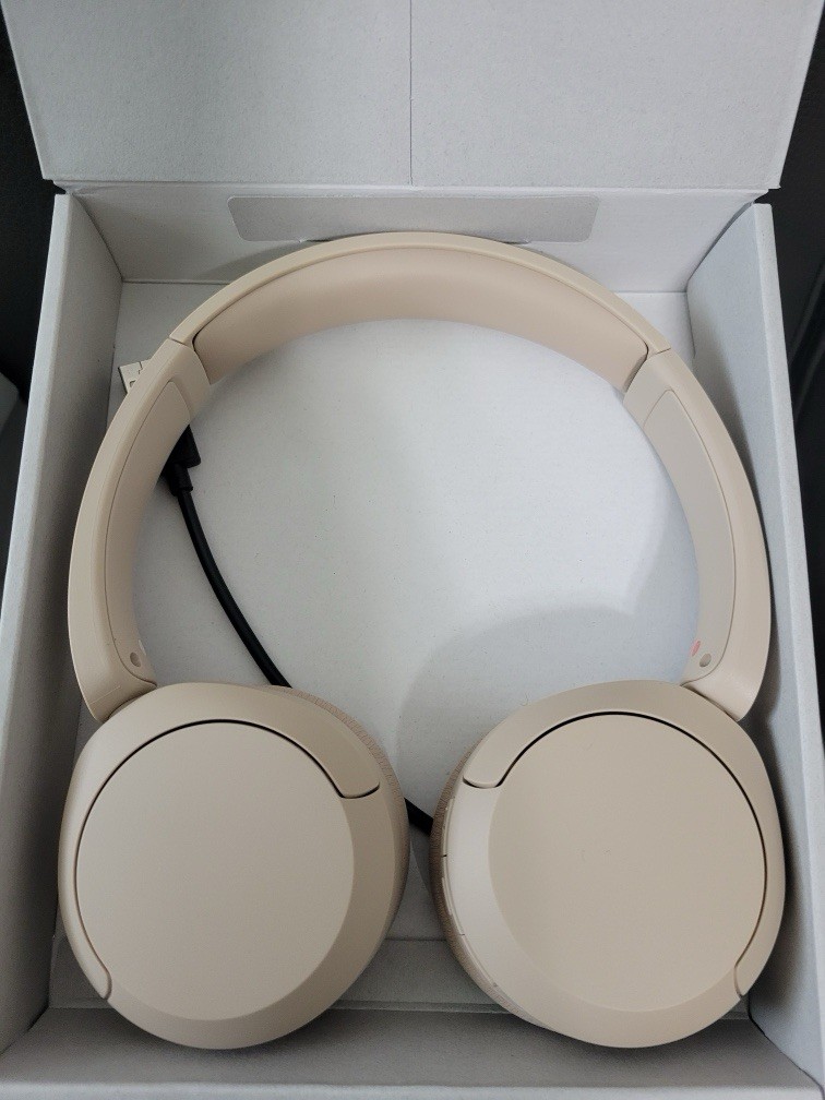 Sony WH-CH520 Over Ear Wireless Bluetooth Headphones WHCH520 – BEIGE