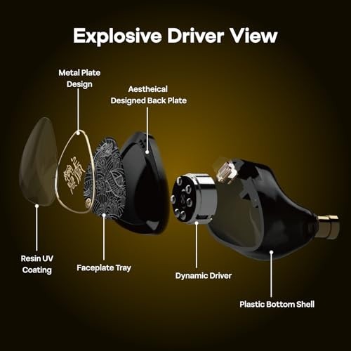 High-Quality In-Ear Monitors, 10mm Dynamic Driver Wired Earbuds, Gaming IEMs, Au