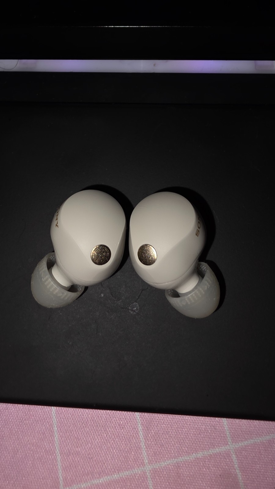 Sony WF-1000XM5 Wireless In-Ear Headphones – Silver