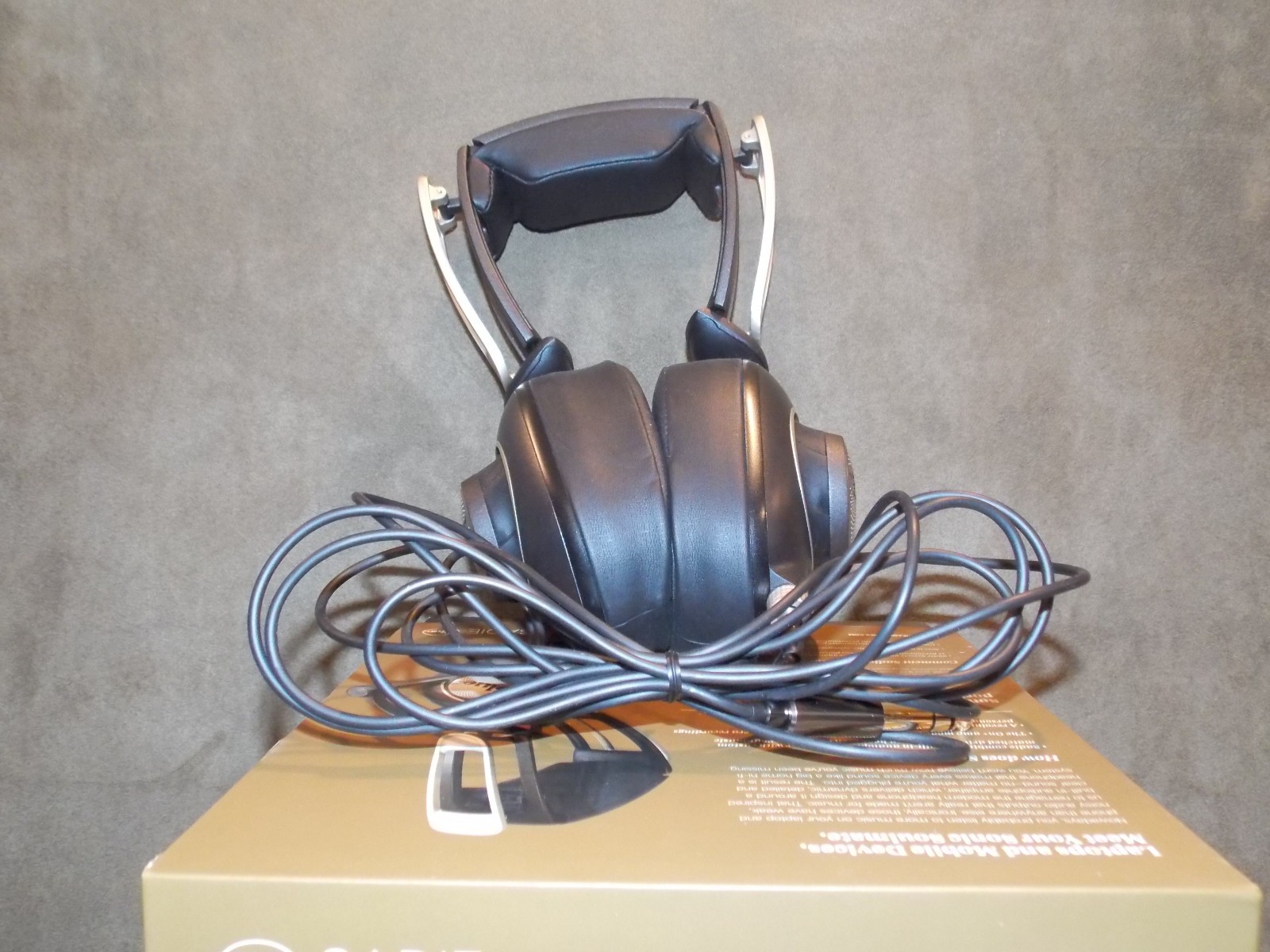 blue sadie headphones (Mint condition)