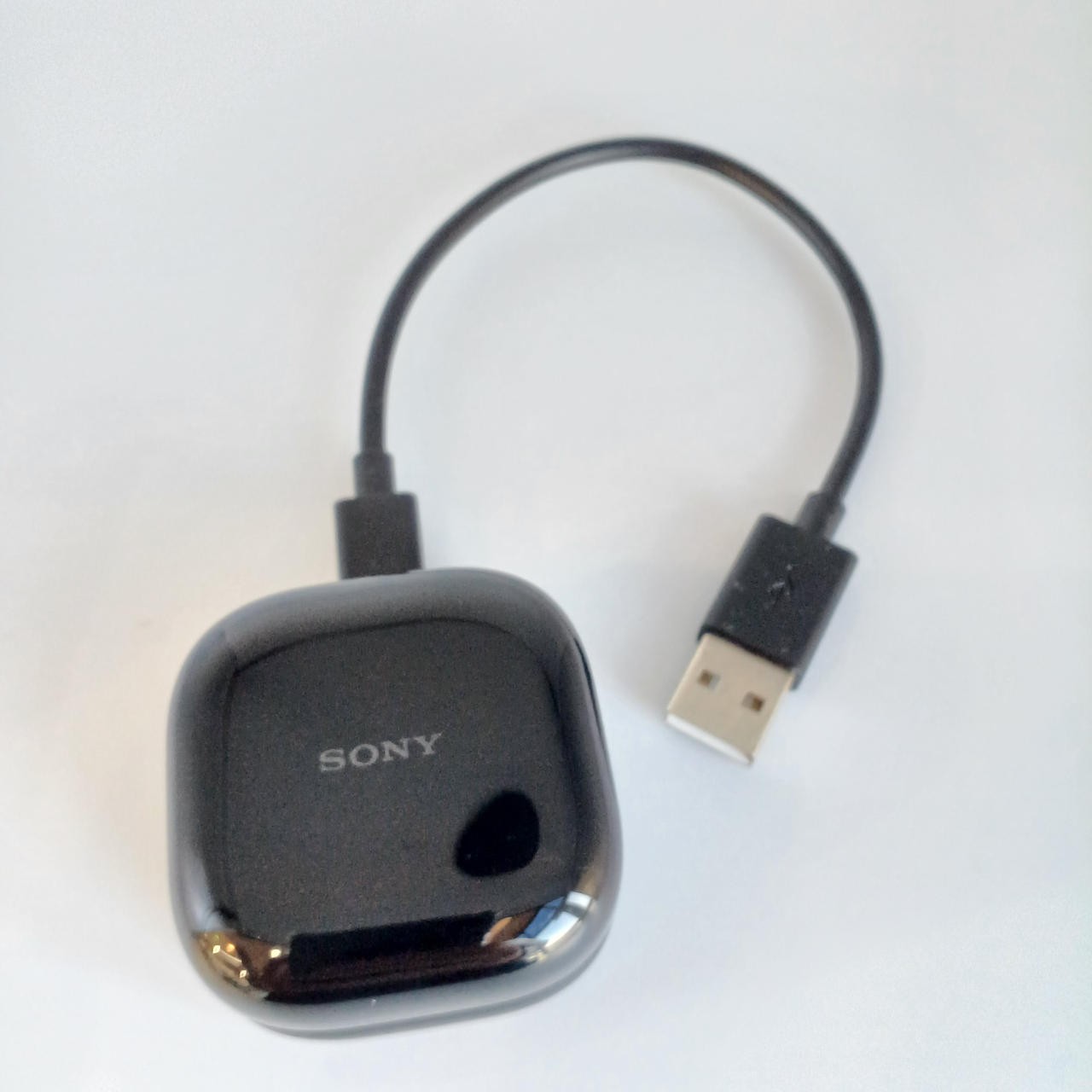 Sony WF-L910 Wireless Earbuds with 11mm Driver Unit