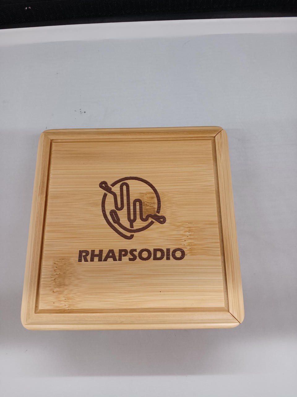 RHAPSODIO R2 ALPHA Earphones 6mm & 10mm Dynamic Drivers