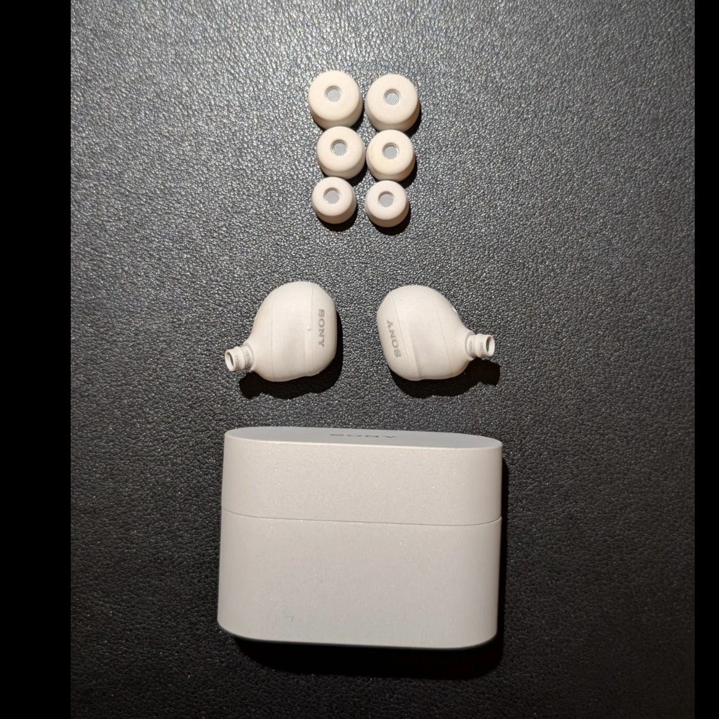 Sony WF-1000XM6 Truly Wireless Noise Cancelling Earbuds w/Case Tips