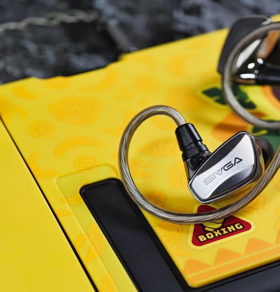 SIVGA SM100 10mm Dual-Chamber Dynamic Driver In-Ear Wired Earphones