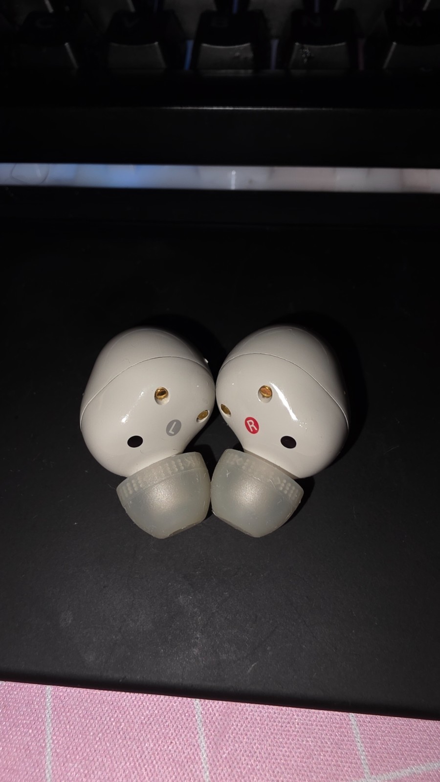 Sony WF-1000XM5 Wireless In-Ear Headphones – Silver