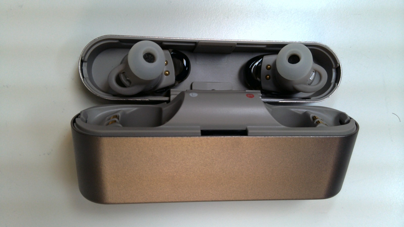 Sony WF-1000X BC-WF1000X Wireless Noise-Cancelling Earbuds + Case