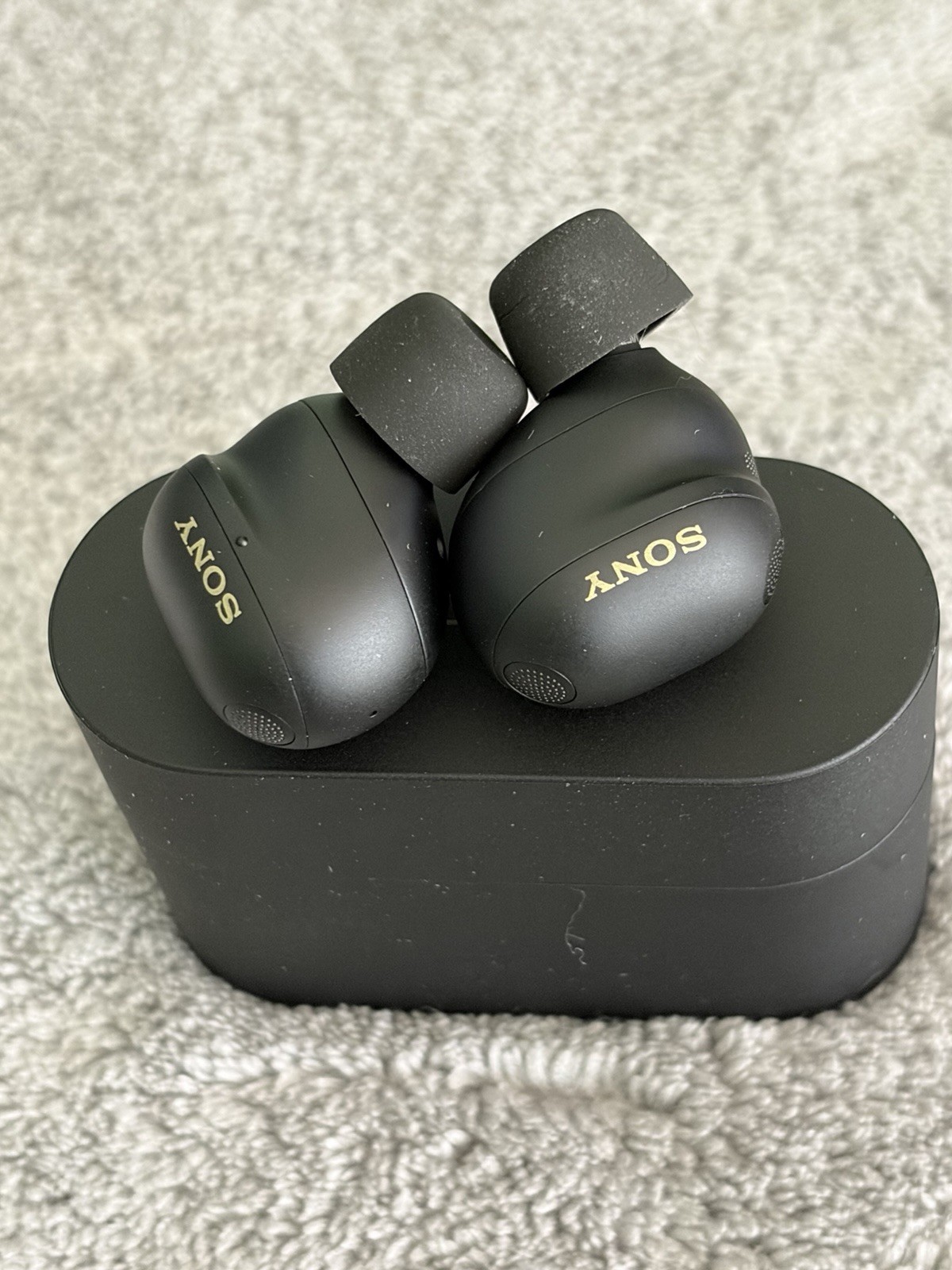 Sony WF-1000XM5/B The Best Truly Wireless Bluetooth Earbuds – Black