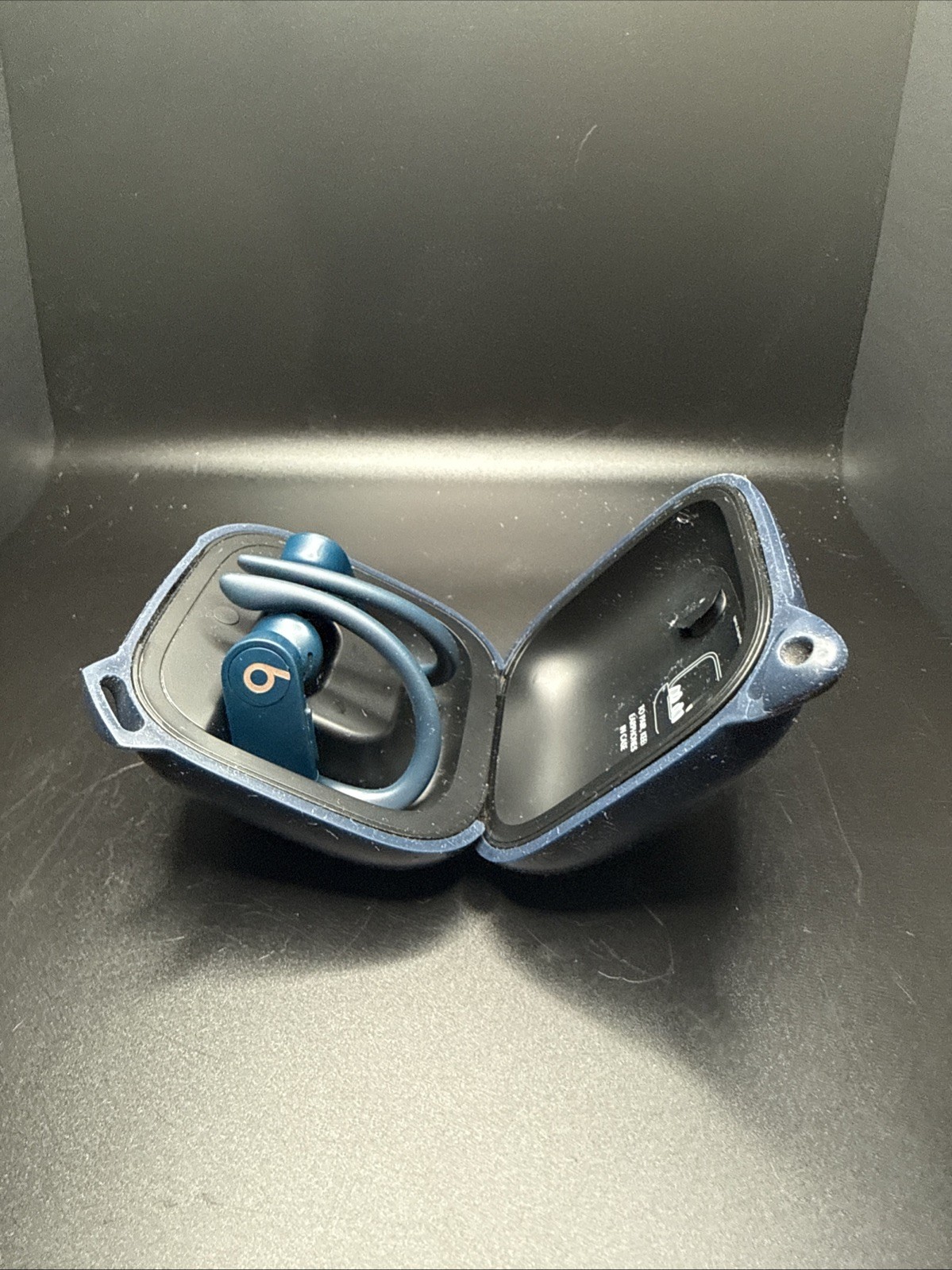 Beats Powerbeats Pro Bluetooth True Wireless Earbuds w/ Charging Case And Protec