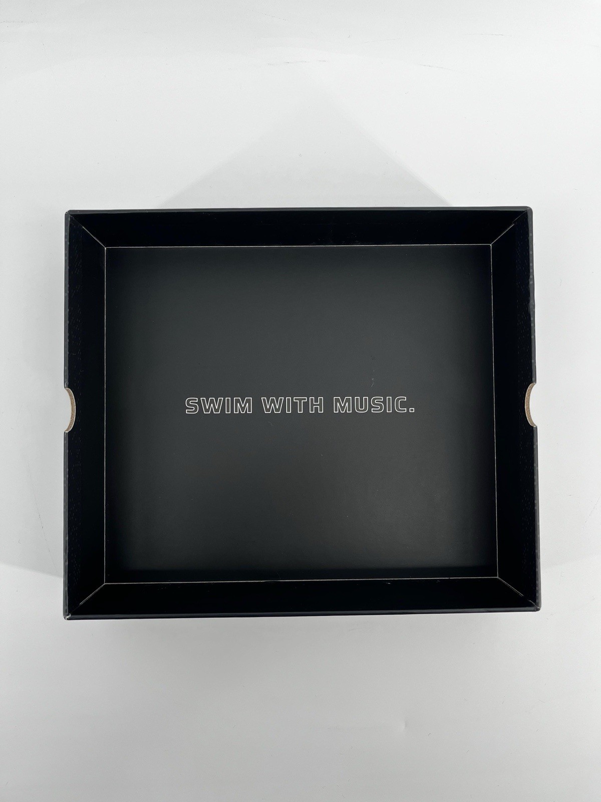 Underwater Audio Delphin 1 Waterproof Micro-Tablet for Listening to Music $399
