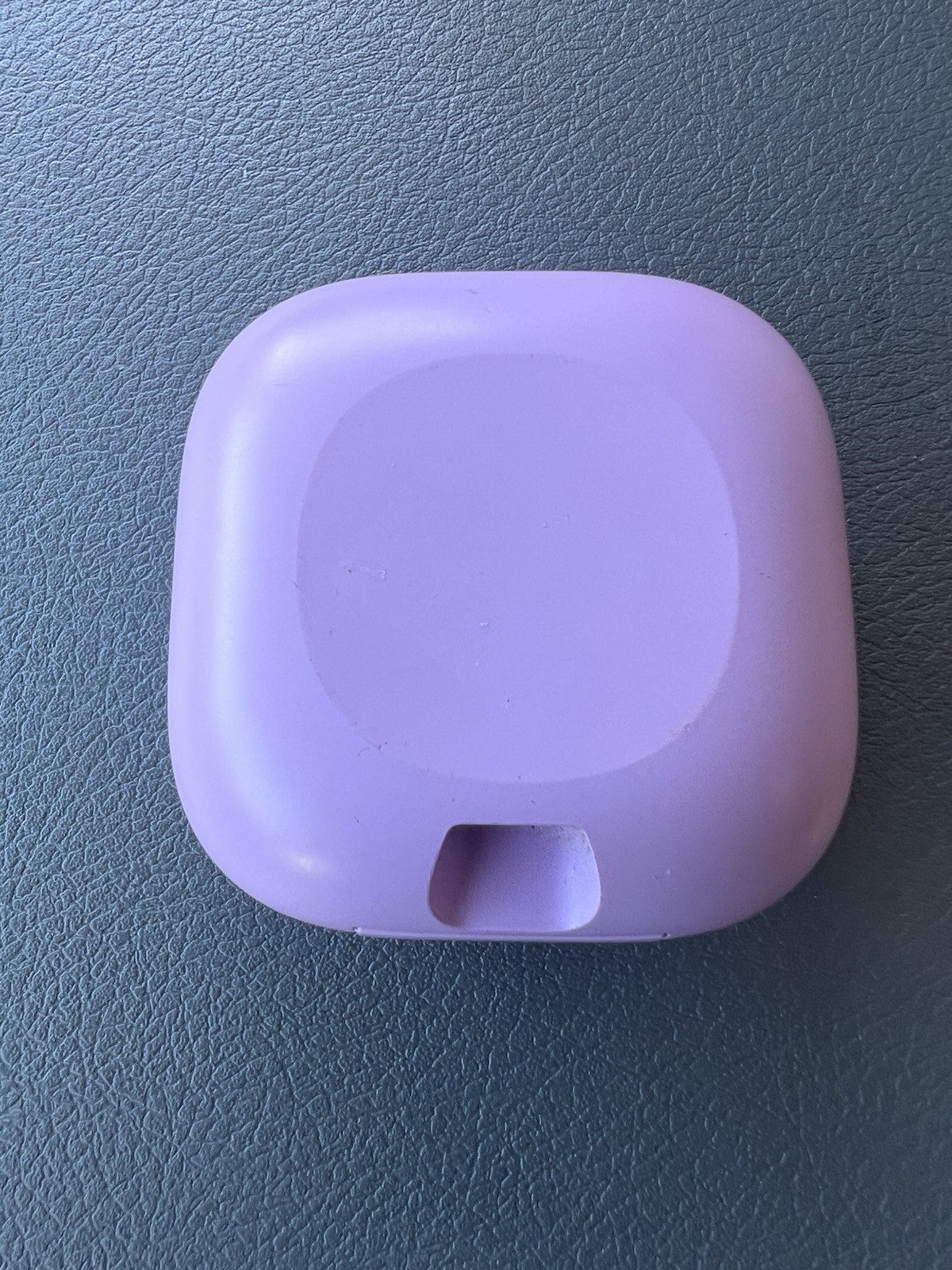 Beats Fit Pro Earbud Charging Case Replacement Stone Purple