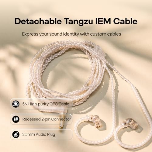 HiFi In-Ear Earphones 10mm Dynamic Driver, Ergonomic Design, Detachable Cable, A
