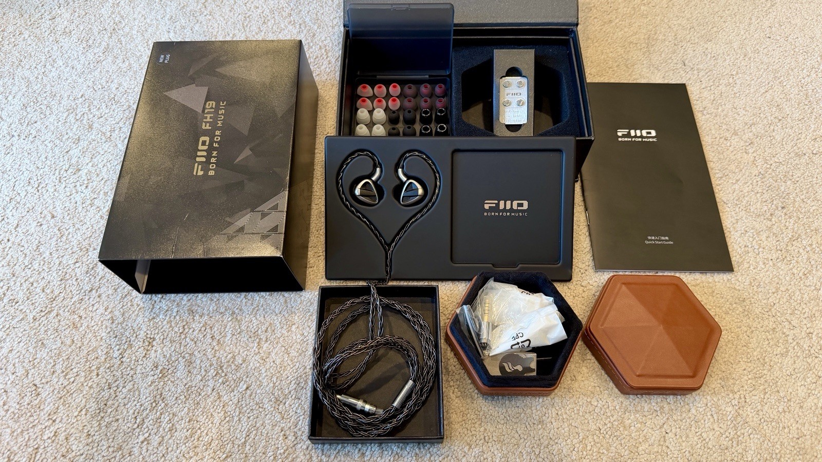 FiiO FH19 HiFi IEM Earphone, 2 Dynamic+ 6 BA Hybrid Driver IEM, Detachable MMCX