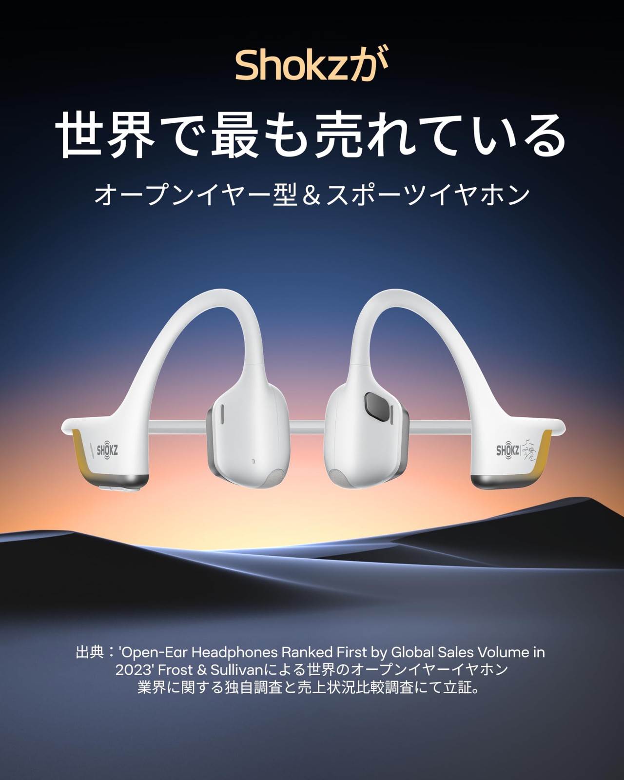 Shokz OpenRun Pro 2 Open-Ear Bone Conduction Headphones Gray