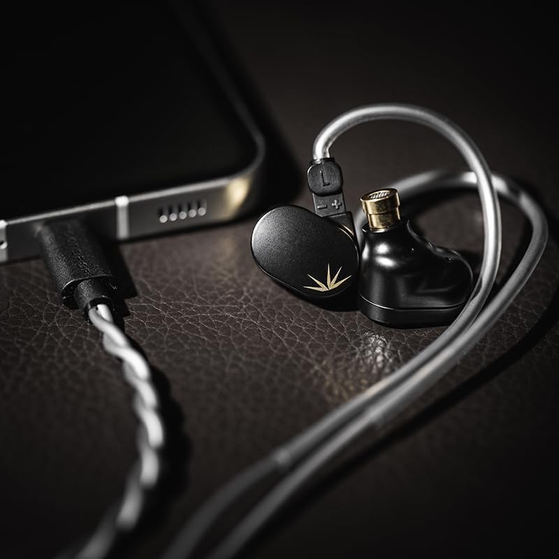 Elegant Black CHU II DSP USB-C In-Ear Monitors with Leather Case & Accessories