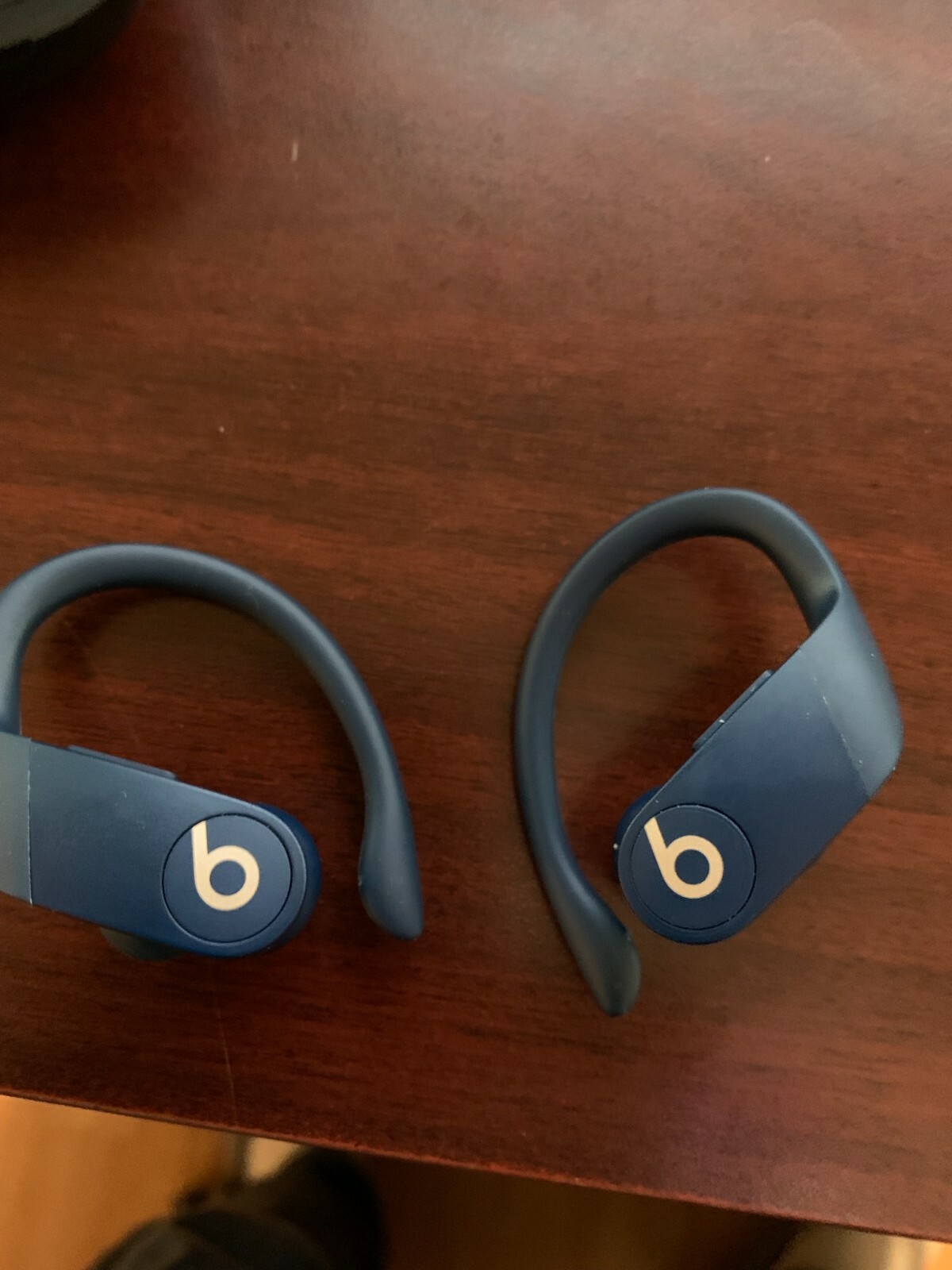 Beats by Dr. Dre Powerbeats Pro Wireless Bluetooth Sweat Resistant Earbuds – Ivo