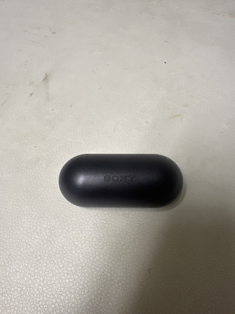 Sony WF-C500 Wireless Earbuds – Black