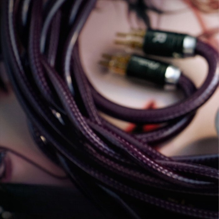 NEW TANGZU “Zetian Wu” The Legend HiFi IEM 12.5 Ohm black purple From Japan F/S