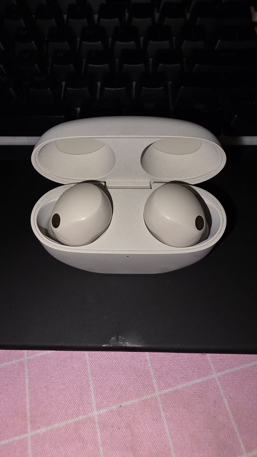Sony WF-1000XM5 Wireless In-Ear Headphones – Silver