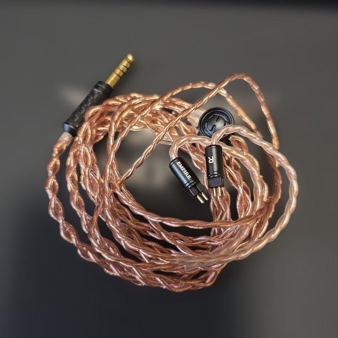 Astell & Kern × Empire Ears Odyssey Universal IEM Earphones Tested Used from JP