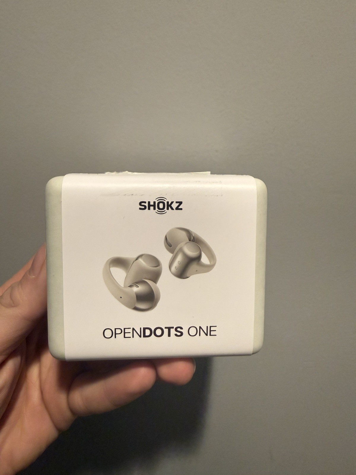 Shokz Open Dots One E310 Grey True Wireless Earbuds