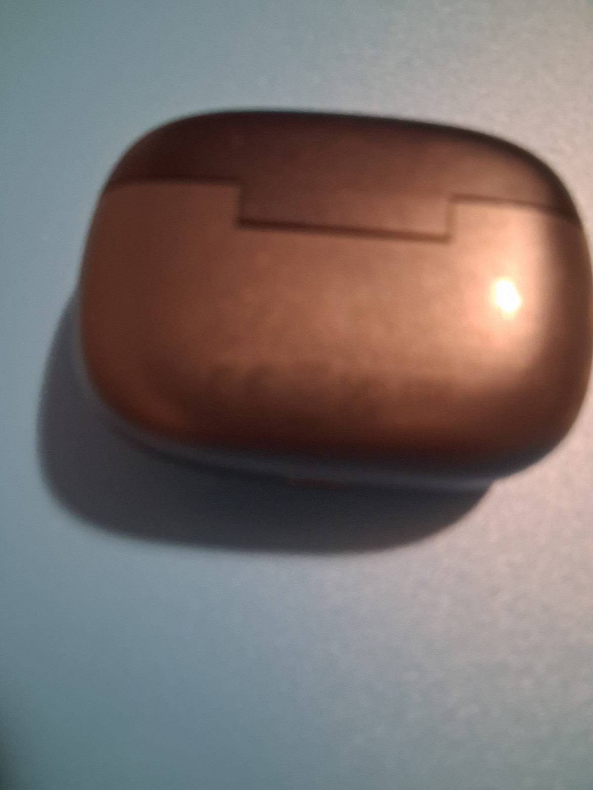 JBL Ear Buds