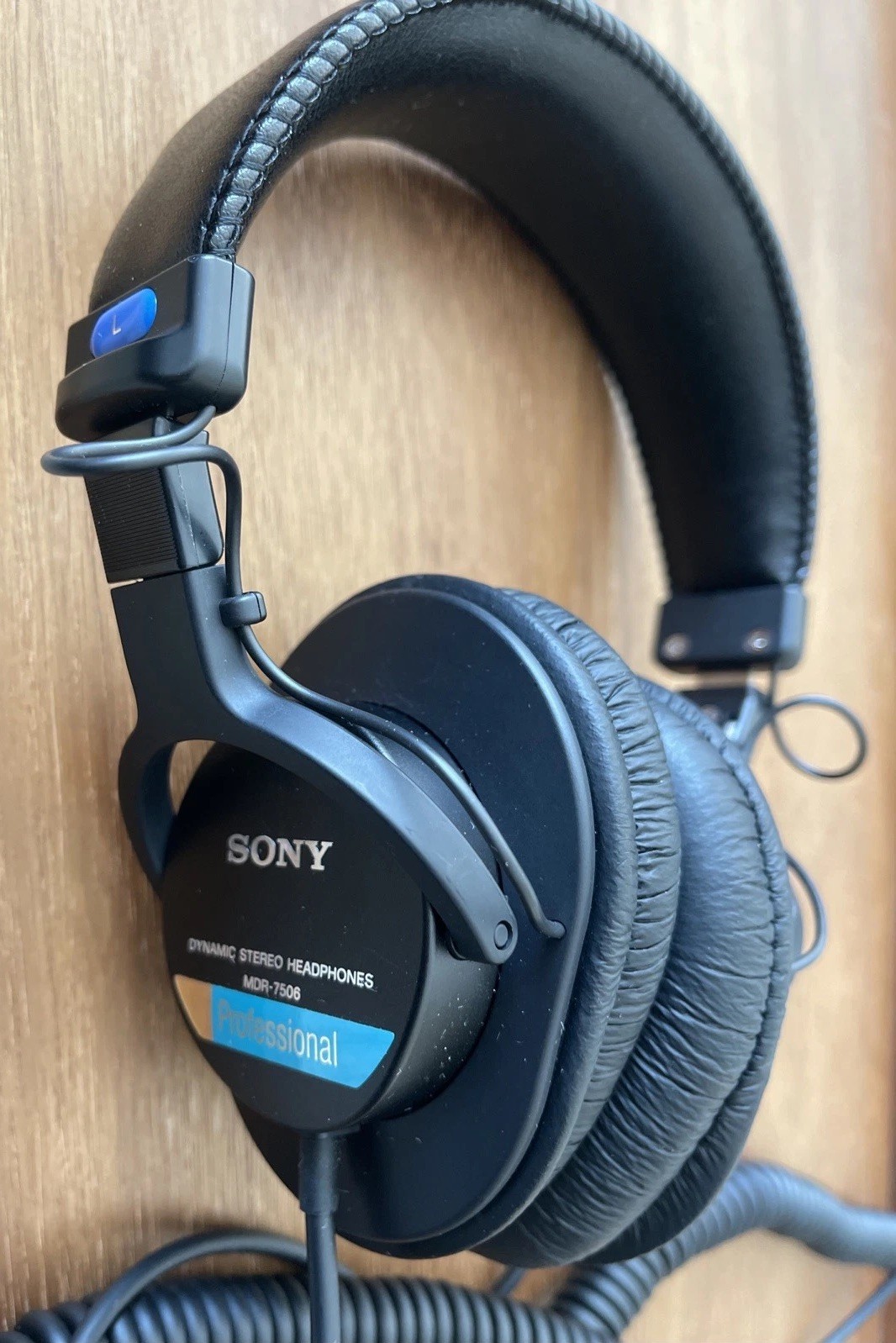Sony MDR7506 Professional Large Diaphragm Headphone