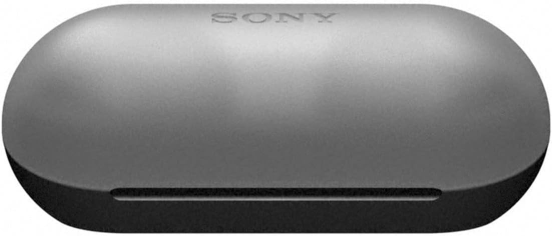 Sony WF-C500 True Wireless In-Ear Bluetooth Earbud Headphones IPX4 w Charge Case