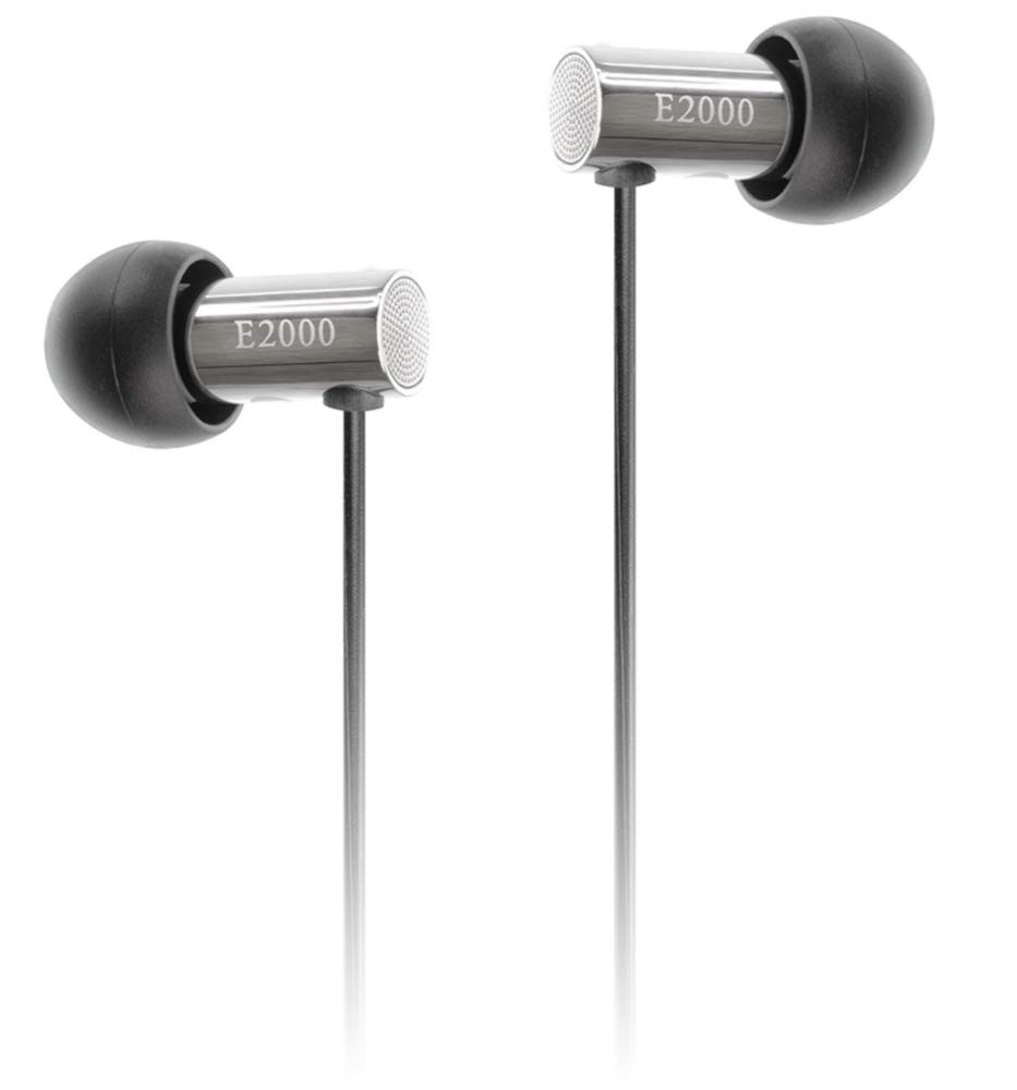 Final E2000 Canal Earphones Matte Silver FI-E2DALS New Authentic From Japan