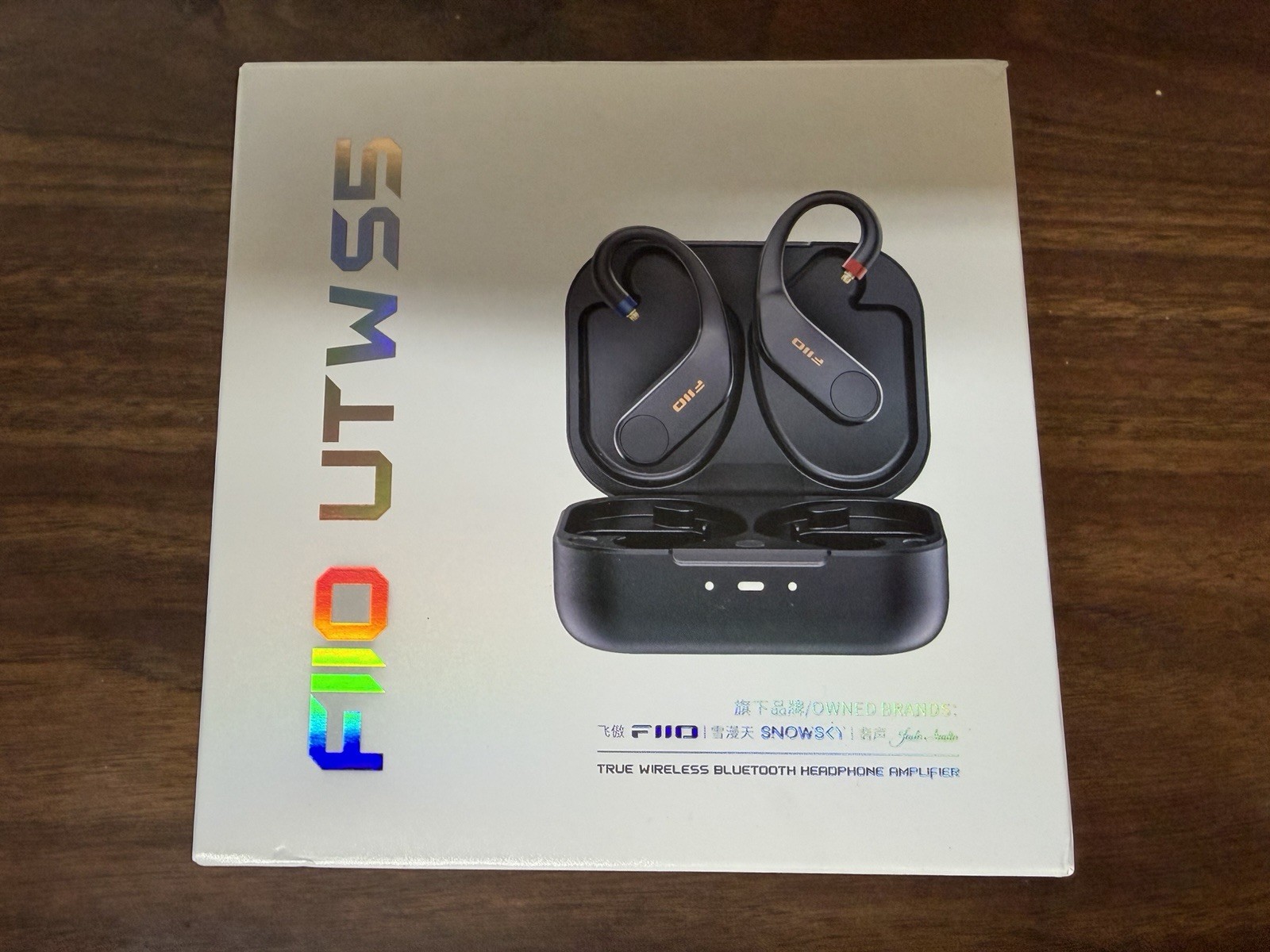 FiiO UTWS5 2025 True Wireless Bluetooth Earbuds Hook & Headphone Amp Black