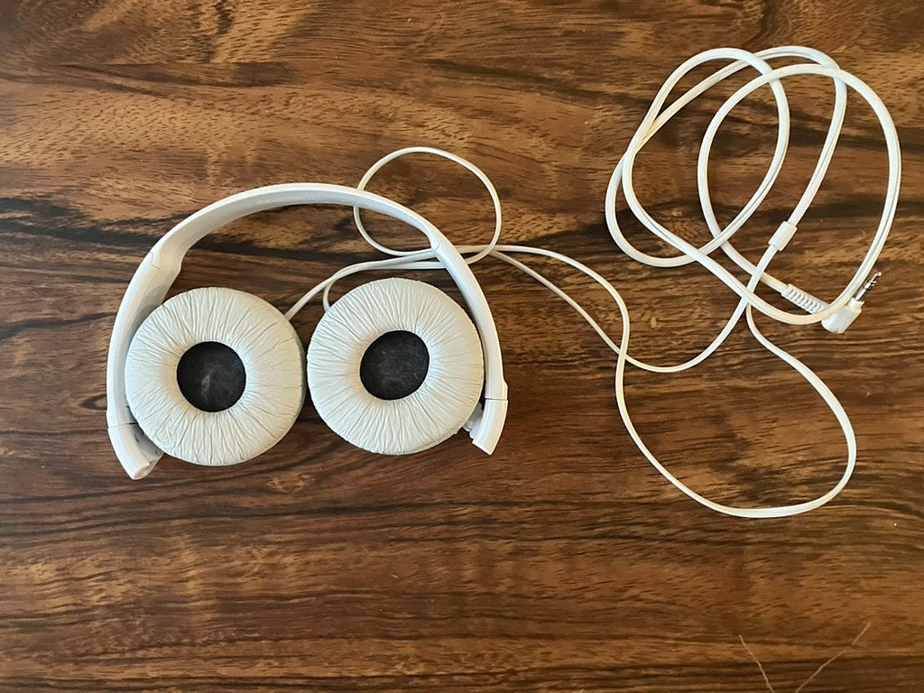 Sony MDR-ZX110 Ear-Pad (On the Ear) Headband Headphones – White