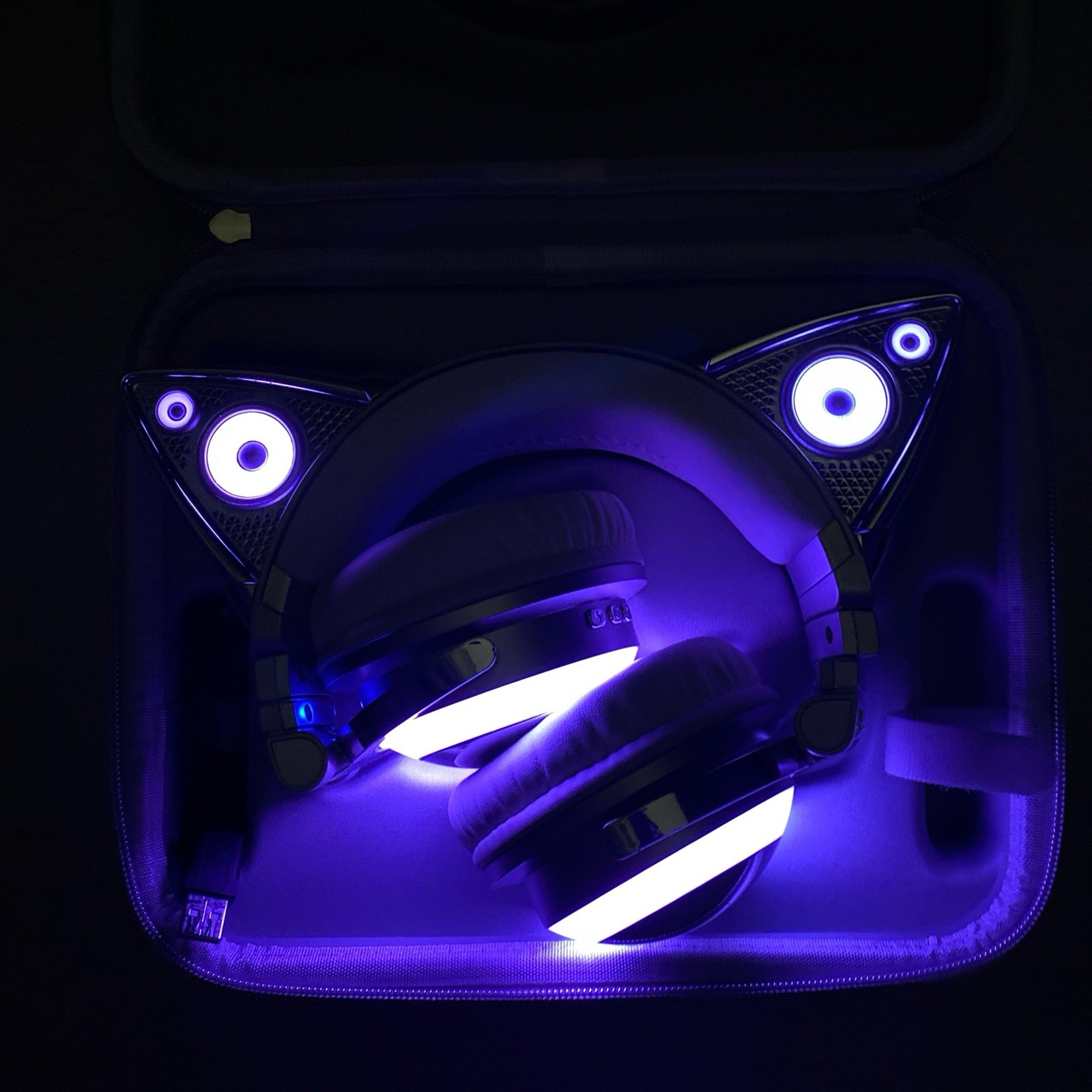 Limited Edition Ariana Grande Headphones LED Lights Multicolor with speaker