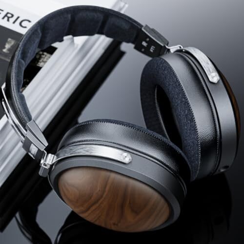 FIIO FT1 FIO-FT1-B Headphones