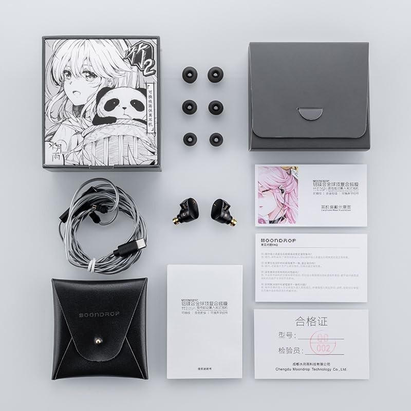 Elegant Black CHU II DSP USB-C In-Ear Monitors with Leather Case & Accessories