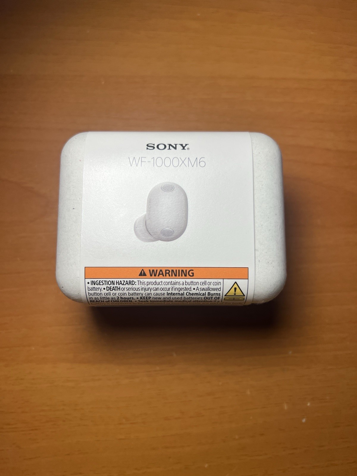 Sony WF-1000XM6 Earbuds – Silver