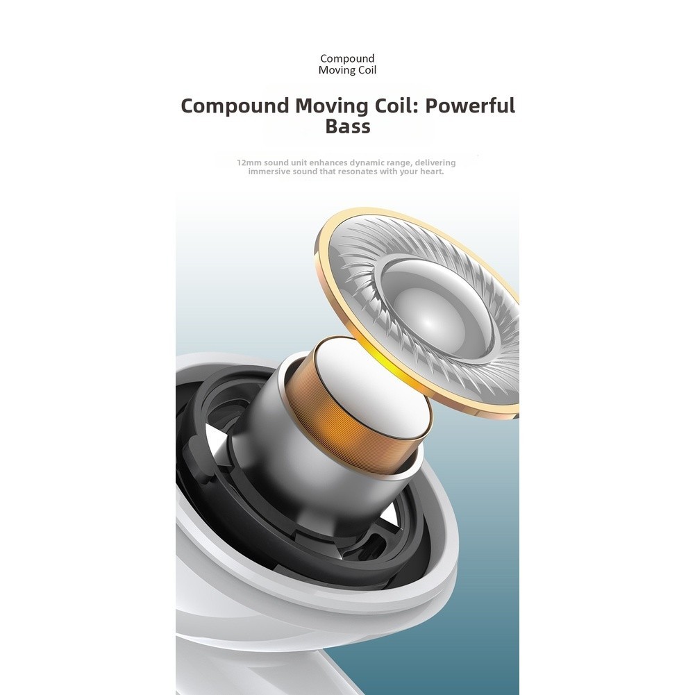 Type C and 3.5mm Wired In-Ear Earbuds with Mic 12mm Driver HiFi Audio Quality