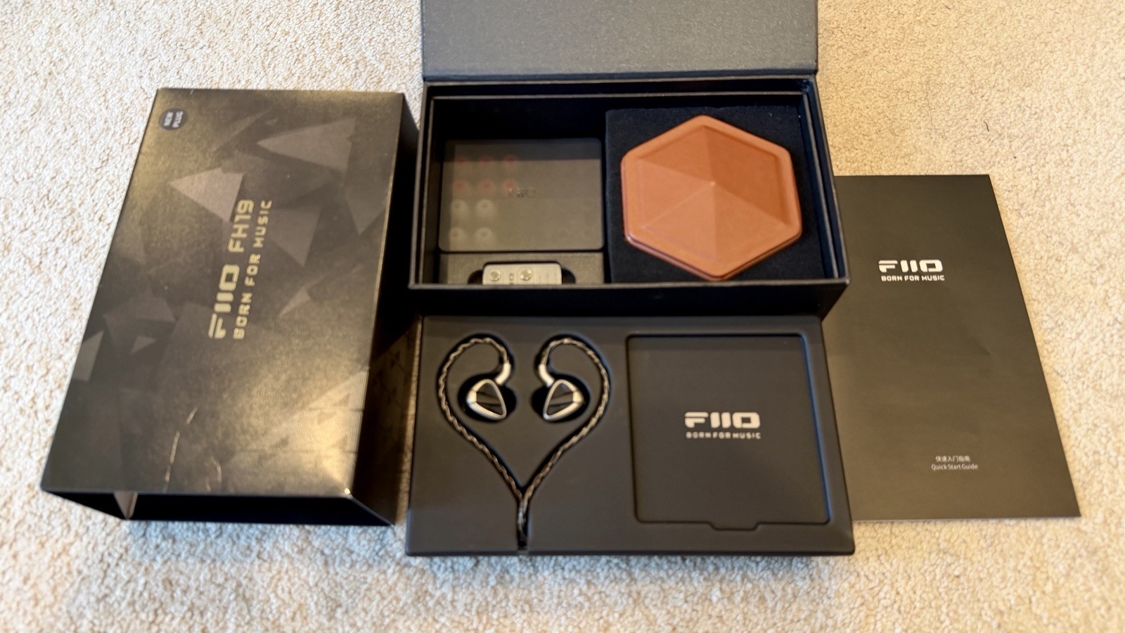 FiiO FH19 HiFi IEM Earphone, 2 Dynamic+ 6 BA Hybrid Driver IEM, Detachable MMCX