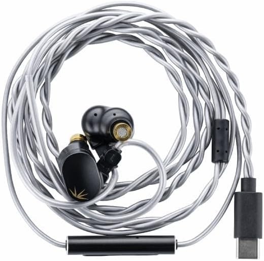 Elegant Black CHU II DSP USB-C In-Ear Monitors with Leather Case & Accessories