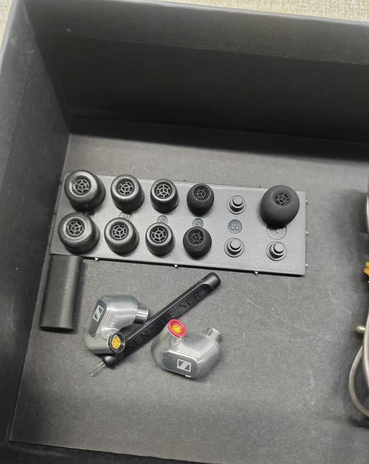 Sennheiser IE900 In-Ear Monitors IEM Earphones Full Set Cables Case Accessories