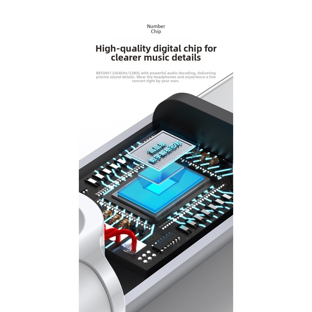 Type C and 3.5mm Wired In-Ear Earbuds with Mic 12mm Driver HiFi Audio Quality