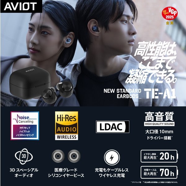Aviot TE-A1-BK Fully wireless earphones, noise cancelling, black