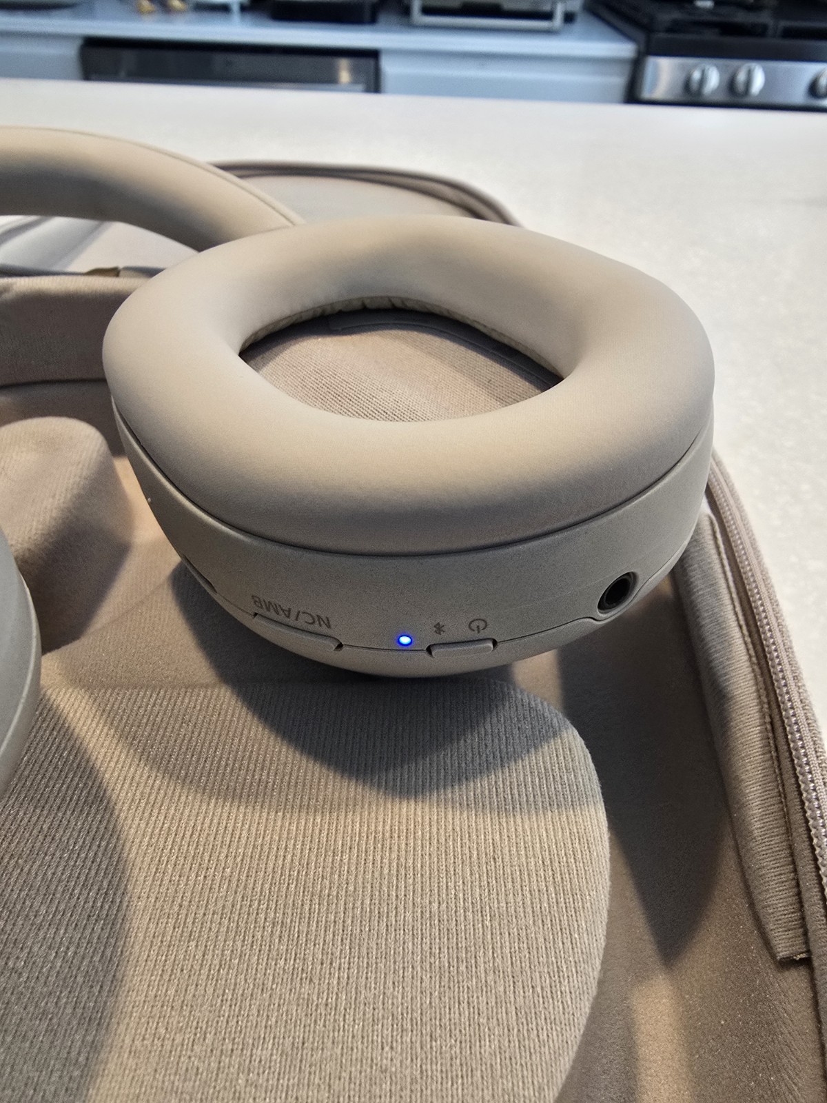 Sony 1000X Series Over-Ear Wireless Bluetooth Headphones Gray w/ Case & Cables