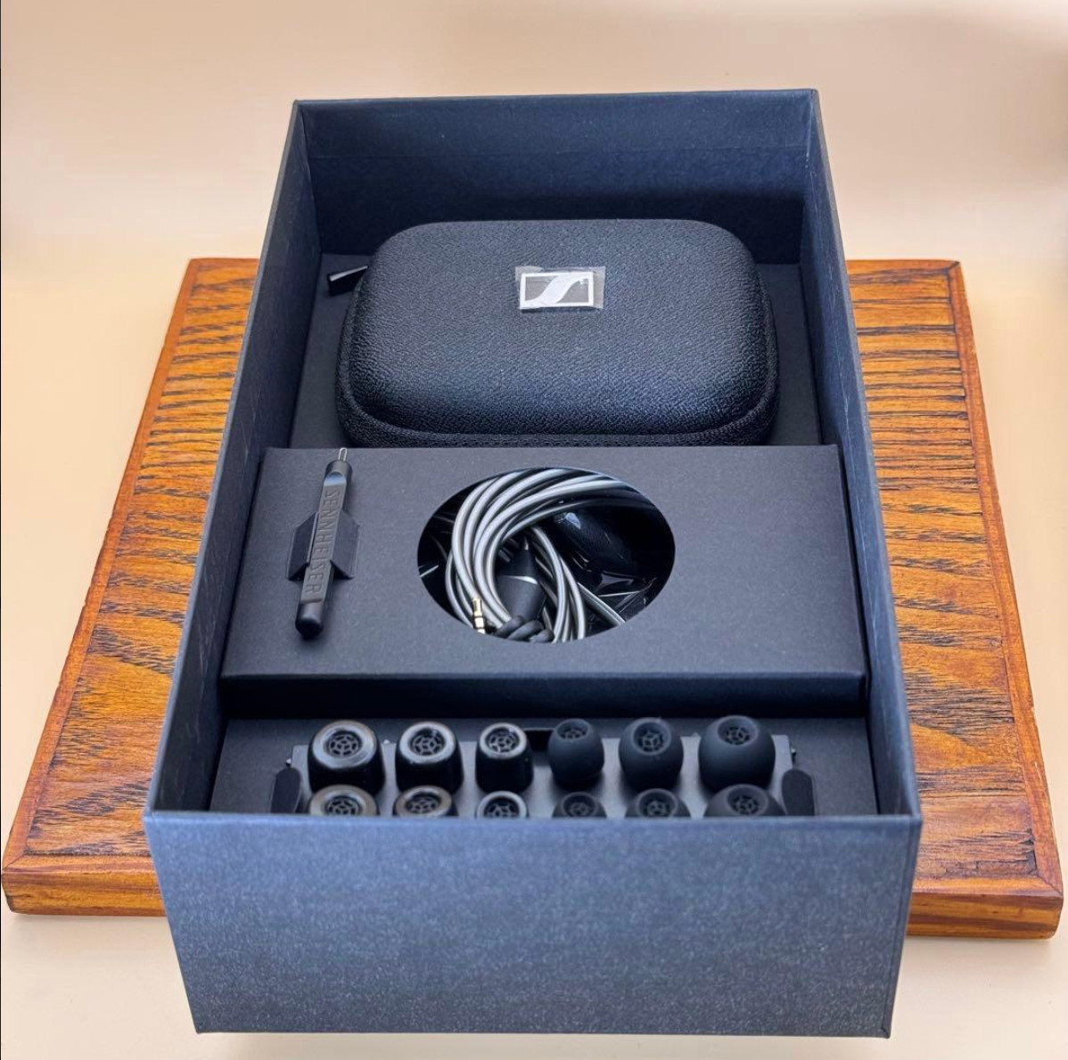 Sennheiser IE 900 Wired Audiophile Headphones Silver Confirmed Operation Used
