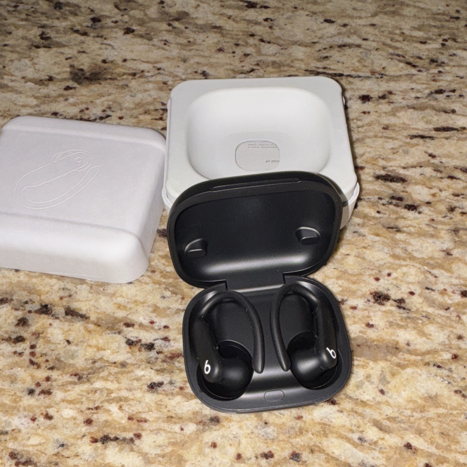Beats Powerbeats Pro 2 Wireless Bluetooth Ear-Hook Earbuds Case+Ear Tips Black
