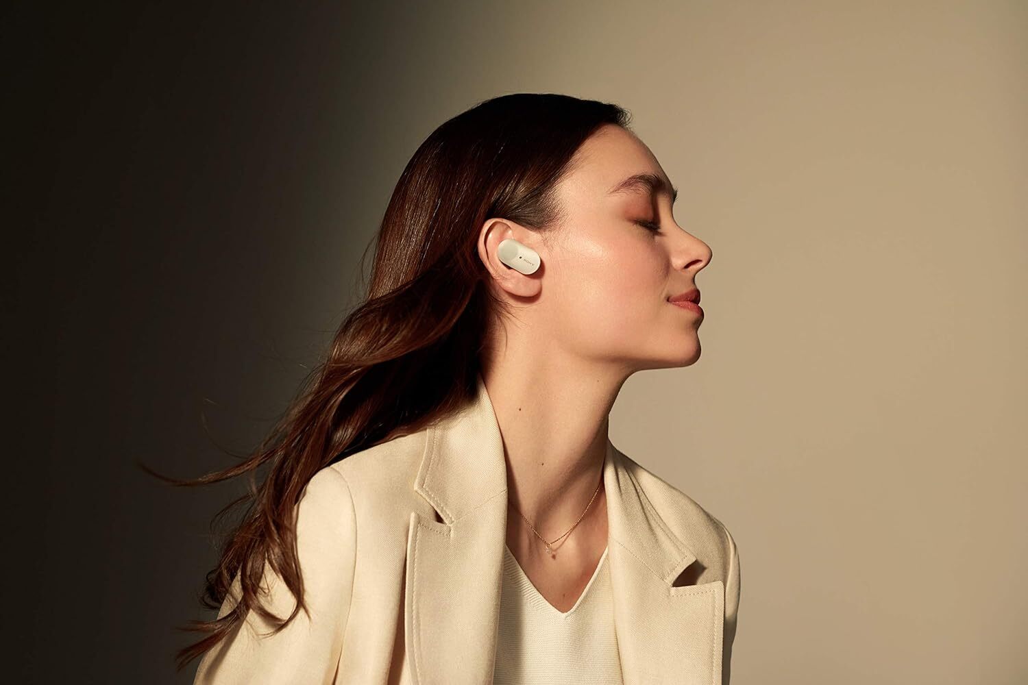Sony WF-1000XM3 Industry Leading Noise Canceling Wireless Earbuds – Grade A